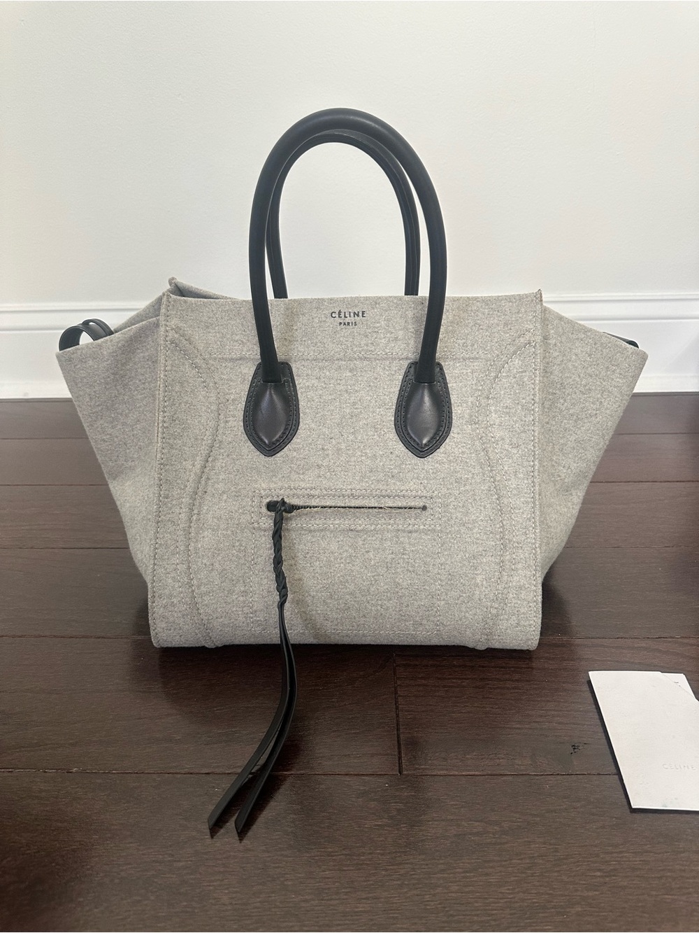 Celine Luggage Phantom in Felt